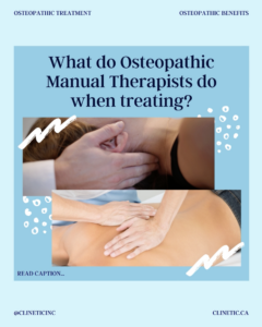 What do Osteopathic Manual Therapists do when treating?