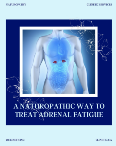 A Naturopathic way to treat Adrenal Fatigue